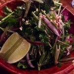 東京ブッチャーズ - 山盛りパクチーサラダ