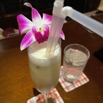 ロイヤルスコッツ - 