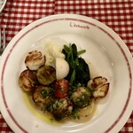 エシャロット - 