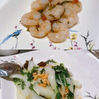 金陵 銀座本店 - 