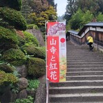 Yama dera - 山寺の入口