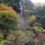 山菜料理 みたき園 - お店の外には滝が。