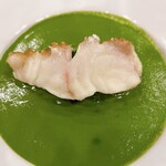 middle - ハタの春菊ソース