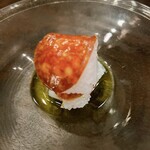 middle - アオリイカ