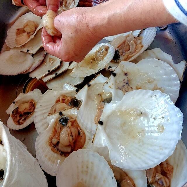 釧路の居酒屋『居酒家のら』|地元グルメと新鮮な海の幸