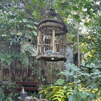 茶房 空花 - 
