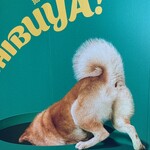 しゃぶしゃぶつかだ - 