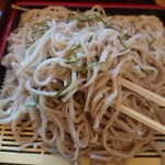 Soba Toshi - 野菜天ざる蕎麦_1000円　麺アップ