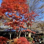 八ヶ岳倶楽部 - カフェの入り口の紅葉