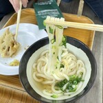 山越うどん - 掛けうどん