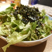 始祖鳥 - 