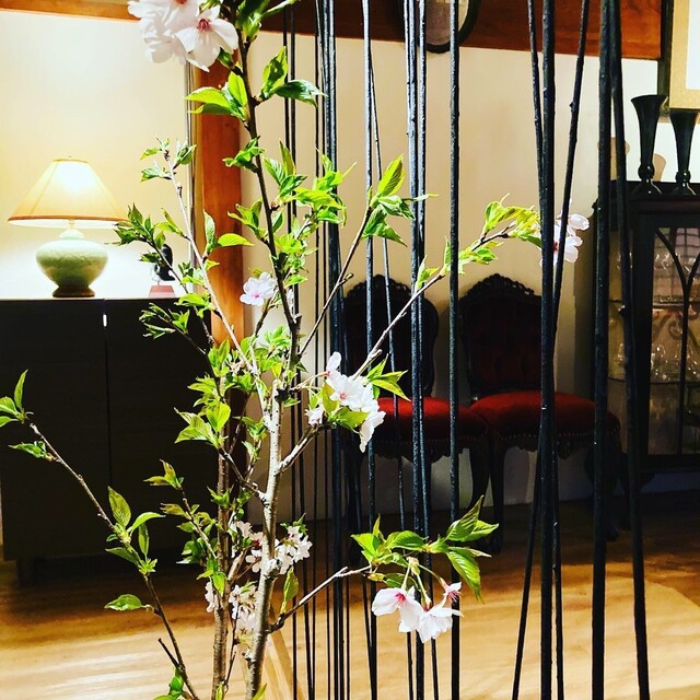 Restaurant Shoryu photo