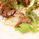Bisutoroanri - 本日の鮮魚のオードブル､サラダ仕立て 明石のタコのバシル和え '13 10月下旬