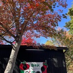 トラットリア プリモ - 