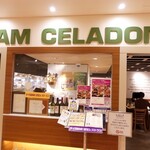 SIAM CELADON - 