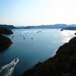 活魚料理 びんび家 - 2013年9月吉日