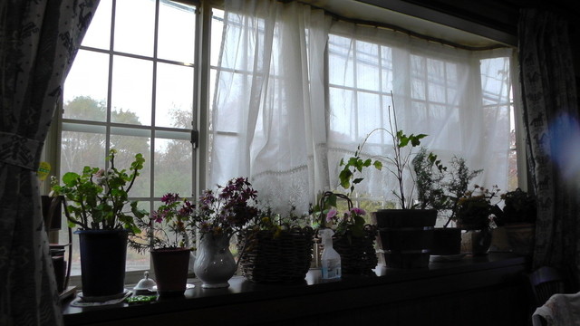 ソングバード - 南会津町その他（イタリアン）の写真