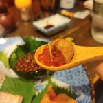 コンペイトウ - 