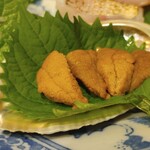 コンペイトウ - 