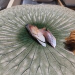 銀座のみこ寿司 - しめ鯖、鯵