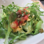 人と木 - 菜園風サラダ