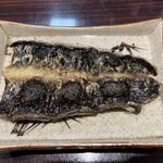 うなぎ 魚政 - 