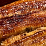 Unagi Fujita - 