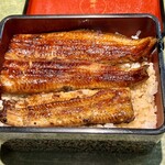 Unagi Fujita - 