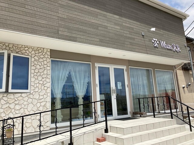 White JiJi（ホワイト ジジ） - 石巻あゆみ野（カフェ）の写真