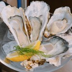 oyster market カキイロハ - 