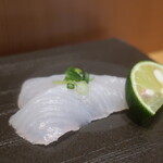 こころや - ウスバハギ