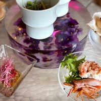 スミレオオサカ -  スミレオオサカ -