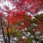 笊蕎麦 刻 - 小諸懐古園での紅葉狩り