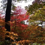 笊蕎麦 刻 - 紅葉狩り