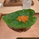 Ginza Komon - 