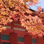 Chuuoushokudousambou - 紅葉が最高でした
