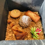 レヴォ - 【プティフィール】荏胡麻のフィナンシェ、桑茶のシューアイス、ミルクとフランボワーズの生キャラメル、りんごのタルト、加賀棒茶のプラリネタルト