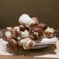末冨 - 
