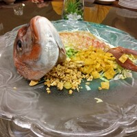 雅苑酒家 本店 - 