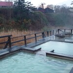 蒸ノ湯 - 混浴露天