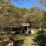 クロモジ - 