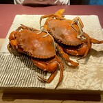 新日本料理おぶね - 