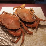 新日本料理おぶね - 