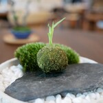 CYCLE by Mauro Colagreco - 