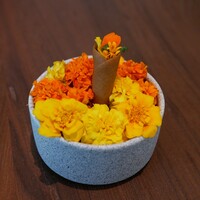 CYCLE by Mauro Colagreco - 