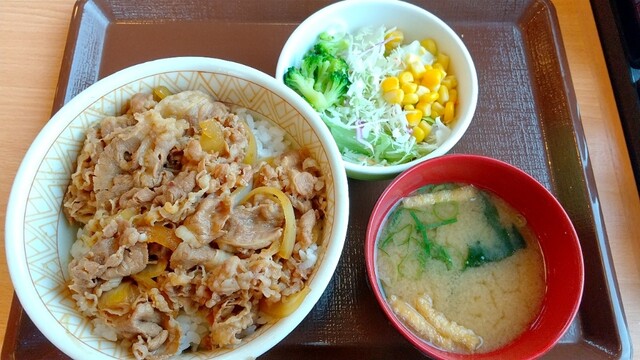 すき家 105号大仙北長野店 - 羽後長野（牛丼）の写真