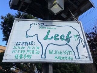 Leaf - 