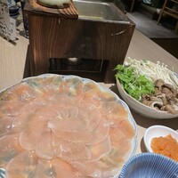始祖鳥 - 