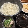 いよ路 - 釜揚げうどん530円