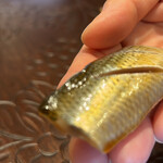 天ぷら たけうち - 天草のコハダ